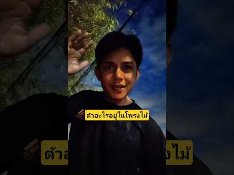 หนูน้อยเรียกตัวอะไรออกมาจากโพรงไม้คนหรืออะไรยังไง #บังเอิญเจอ #funny #comedy #การแสดงเท่านั้น thumbnail