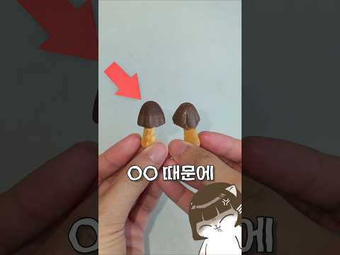 다르다길래 진짜로 다른지 비교해본 건에 대하여 thumbnail