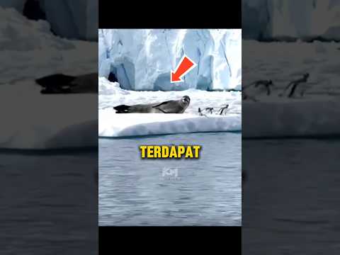 Tak Jadi Nak Naik Atas Daratan? #faktamenarik #faktaunik #malaysia thumbnail