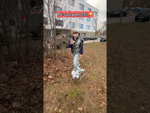 Gassi gehen in 2046😂 | Lewinray #shorts thumbnail