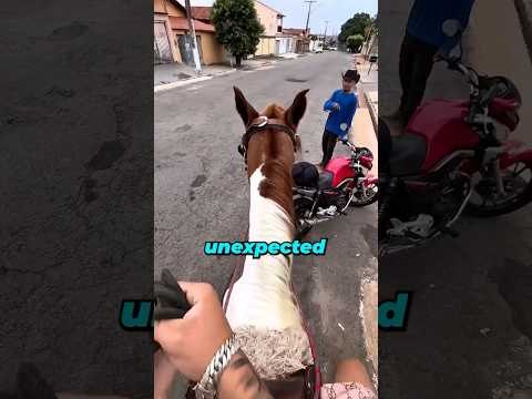 Trading Horse For A Motorcycle 😳 thumbnail