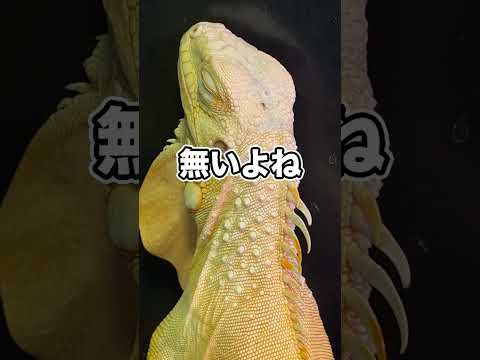 ペットが飼いきれなくなったらどうしたらいいのでしょう？ thumbnail