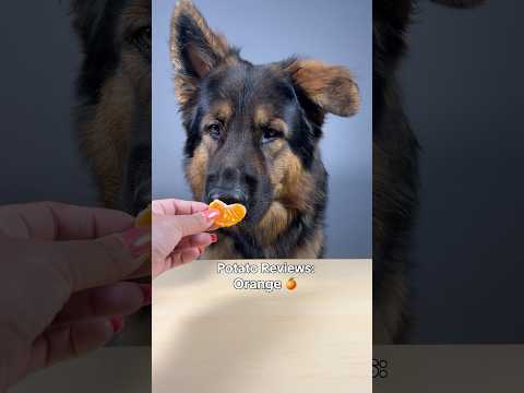 Potato Reviews: Orange thumbnail