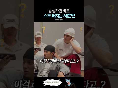 세븐틴 정기모임 스포 누가 잘못한 것인가 thumbnail