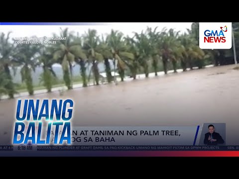Palayan at taniman ng palm tree, nalubog sa baha | Unang Balita thumbnail