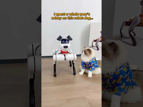 Robot dog from 2077 #puffmademebuy #ai #robot #robotdog #pet thumbnail
