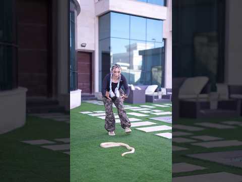 جبت حرباية وفي جائزة 1000 دولار شفتو الفلوق thumbnail