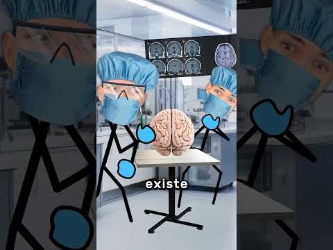 Tu Cerebro Antes De Morir 🧠 thumbnail