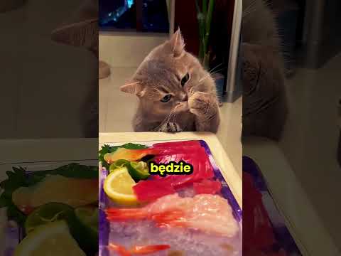 Ta kotka nauczyła się brać tylko jeden kęs każdego dania! 😮 thumbnail