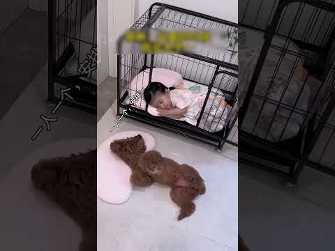 Esta Niña No Me Deja Mi Propia Cama 😭😂 thumbnail