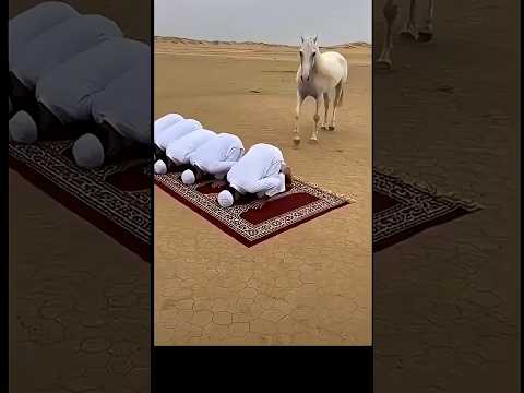 "🎉🌙تكبيراتعِيْدُ الْأَضْحَى مُبَارَك 🌙✨  المبارك 2026 (كاملة) 🕋✨️🕌 🎶" thumbnail