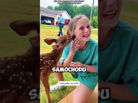 Ocalony Jelonek!#shorts #viralvideo thumbnail