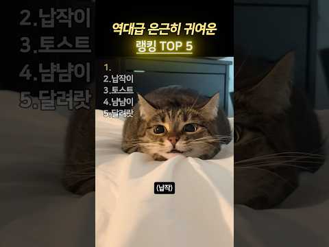 역대급 은근히 귀여운5 랭킹 TOP 5 thumbnail