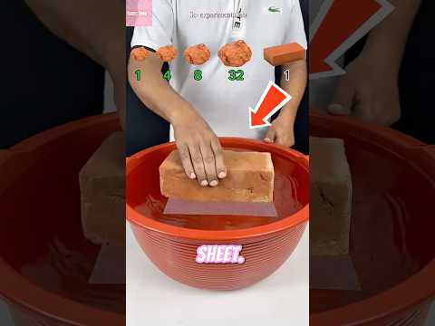Tisu Bisa Nahan Bata Kuning?! Endingnya Bikin Terkejut! thumbnail