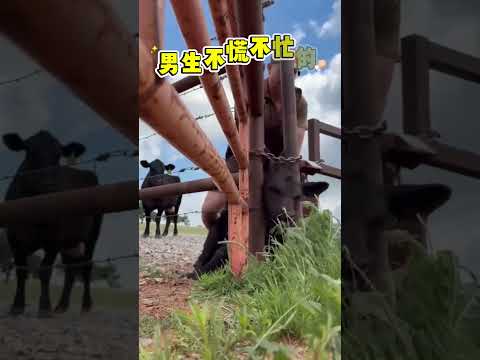 他做出這個動作！感動千萬人🫣 #動作 #動物#shorts 小林Lin’s life thumbnail