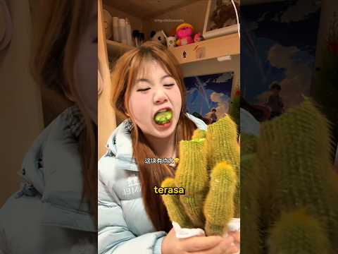 Suka Banget Makan Kaktus ? thumbnail
