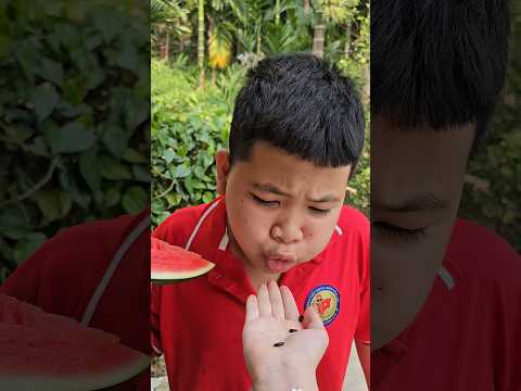 Hạt không sao mà ăn thumbnail