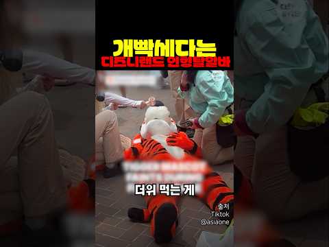 개빡세다는 디즈니랜드 인형탈 알바 thumbnail