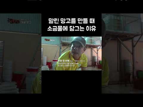 말린 망고를 만들 때 소금물에 담그는 이유 #shorts thumbnail