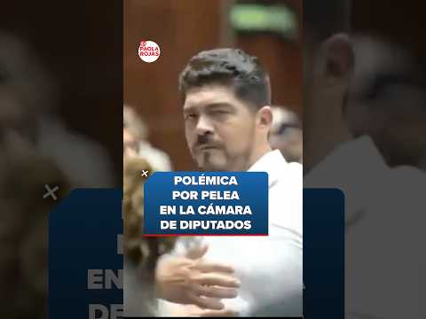 Polémica por pelea en la Cámara de Diputados | #Shorts | De Pisa y Corre thumbnail