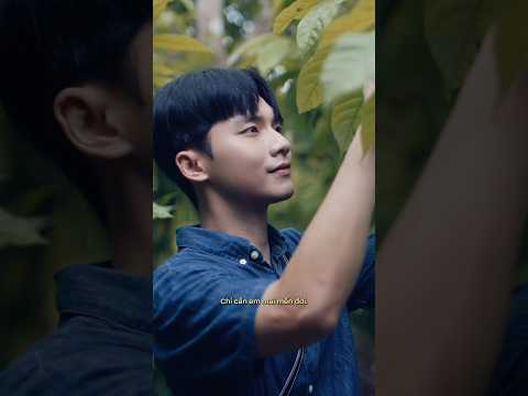 ‘Một tình yêu chẳng cần em phải đáp hồi…’ ❤️‍🩹 #anhbovai #vuongbinh #shorts thumbnail