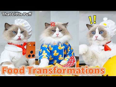 Top 20 Mind-Blowing Food Transformations🤯 | That Little Puff thumbnail