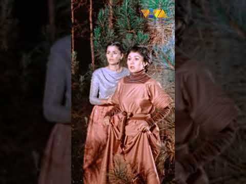 Nagluluksa si Vilma Santos #shorts #movieclips #vivafilms thumbnail