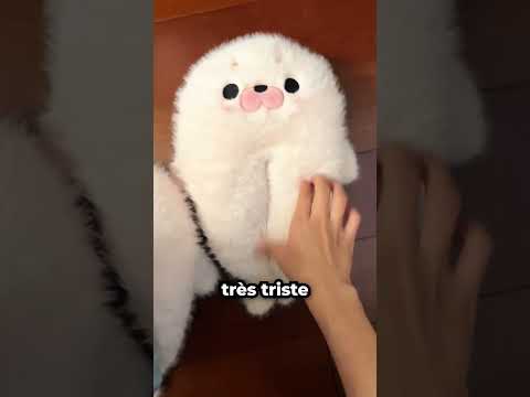 Sa Colocataire a Détruit Ses Pantoufles Préférées... 😅 thumbnail