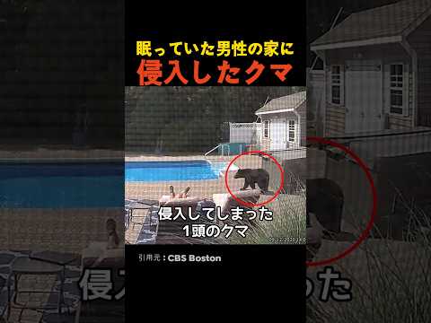 眠っていた男性の家に侵入したクマ thumbnail