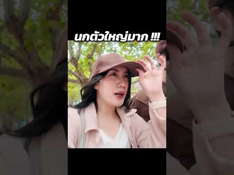 ทุกสิ่งในออสเตรเลียใหญ่ไปหมด จริงไหม? หรือคิดไปเอง | MayyR thumbnail
