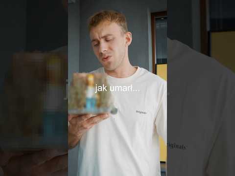HOMER NIE ŻYJE… thumbnail