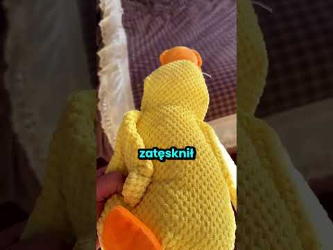 Jego ukochany pies odwiedził go po latach! thumbnail
