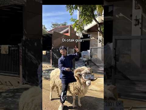 🧠: Bolehin aja deh😭🙏 #rasyajudge #pov #relate #funny #comedy #fypシ #shorts thumbnail