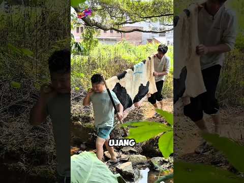 Udah Dimasak, Malah Direbut Lagi 😂 thumbnail