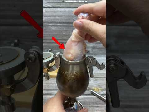He Turned a Popcorn Maker Into a Chicken Cooker 🍗🔥 #factvideo #shots thumbnail