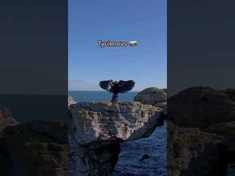 Most Beautiful Places in Bulgaria ?? | #shorts #travel #explore #nature #viral #adventure thumbnail