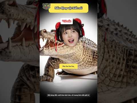 Nếu động vật biết nói thumbnail