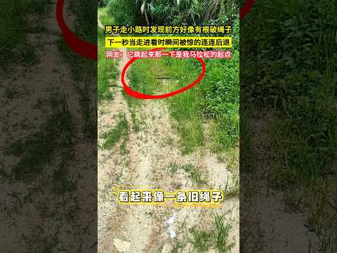 男子走小路時發現前方好像有根破繩子，下一秒當走進看時瞬間被驚的連連後退，網友：它跳起來那一下是我馬拉松的起點！#shorts thumbnail