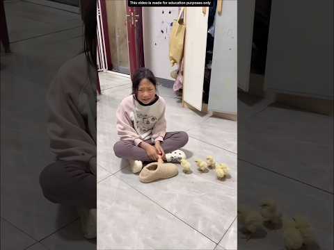 BOCAH KEHILANGAN ANAK BEBEKNYA❗️#videoviral #lucu #bebek thumbnail