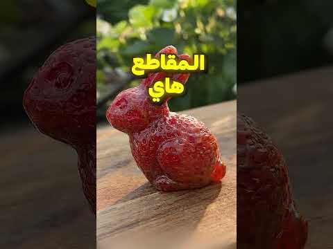 فيديو فرولة حقيقي؟🤔 thumbnail