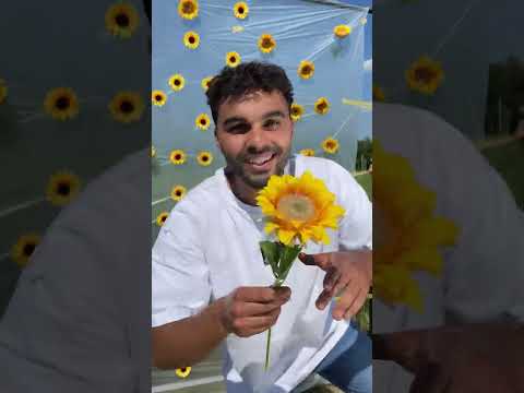 A flower blossoms for its own joy thumbnail