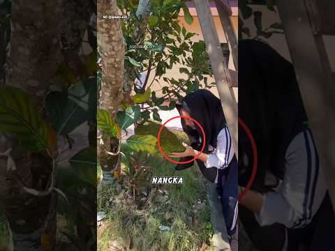 Cewek Ini Tadinya Iseng, Tapi Lihatlah Yang Mereka Dapat thumbnail