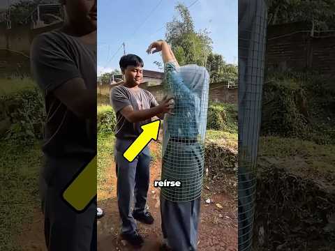 Ella Pensó Que Sería Divertido... Pero Quedó Atrapada thumbnail