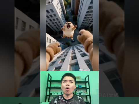 What The Dog Doing P184: Hoá Ra Chỉ Là Mơ thumbnail