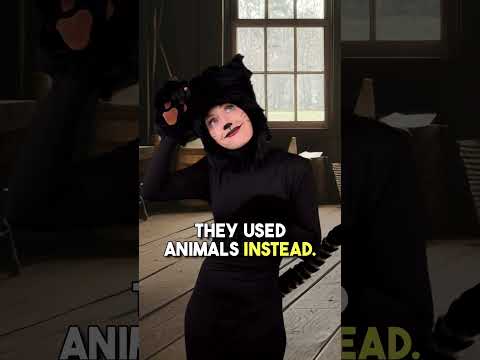 Victorians did WHAT to animals!? ? thumbnail