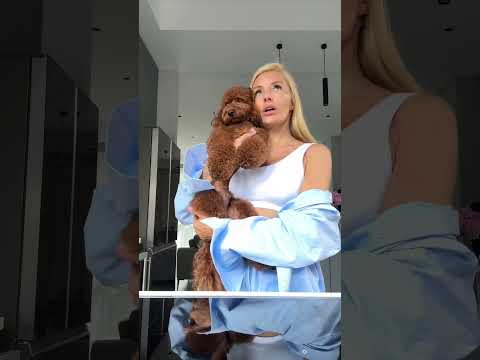 Спасибо. У меня все под контролем🤣 thumbnail