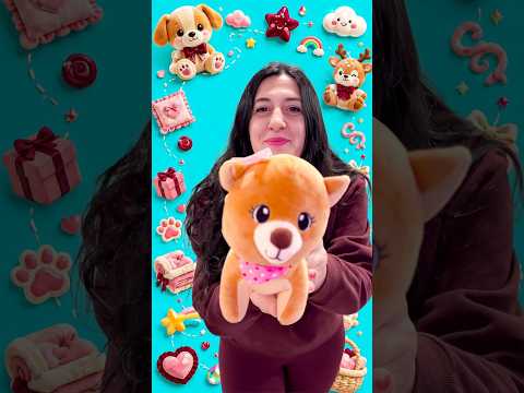 One Dog or Two?  | Playing Together Is Fun thumbnail