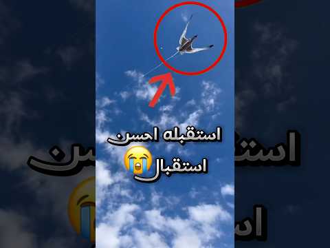 طلع يشوف المنظر لكن استقبله الطير بطريقة خاصة !! 😂 #youtubeshorts thumbnail