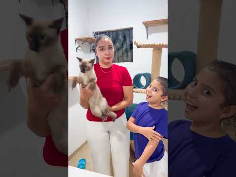 María tiene 6 mascotas? conócelas aquí? thumbnail