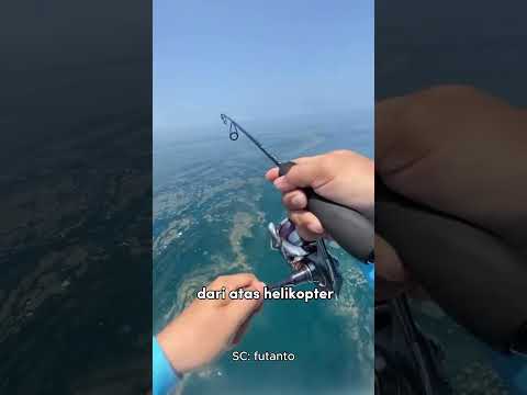 Orang MANCING ini TERLALU NIAT!! Gak Disangka!! thumbnail